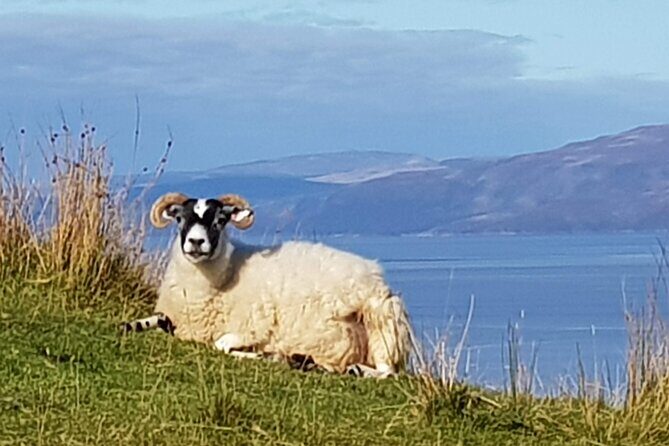 Bespoke Private Tours of Scotland and the Borders - Who Would Love This Tour?