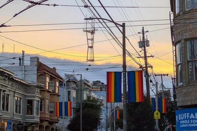 Bespoke San Francisco EV VW Van Experience - An Eco-Friendly, Stylish Way to Explore