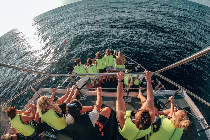 Bespoke Whale Watching Cruise to witness finned giants  Mirissa - Analyzing the Cost and Experience Value