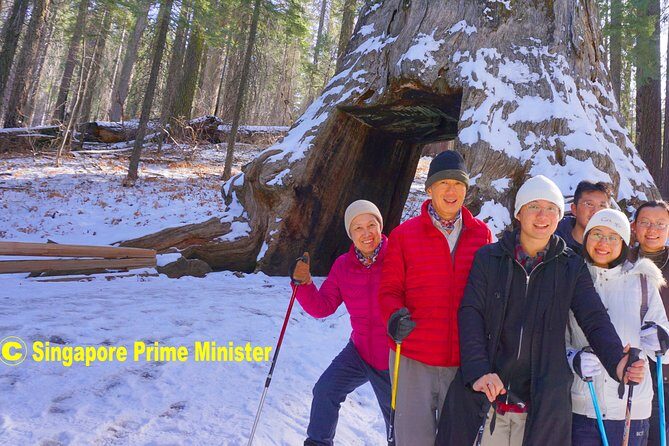 Best 1-Day Yosemite National Park Private Tour from San Francisco - What’s Included and What’s Not