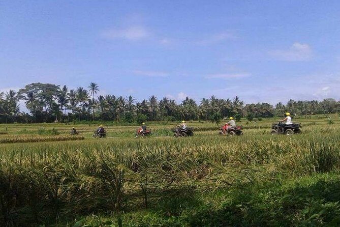 Best Bali ATV Ubud Tour Include Private Transport - An In-Depth Look at the Bali ATV Ubud Tour