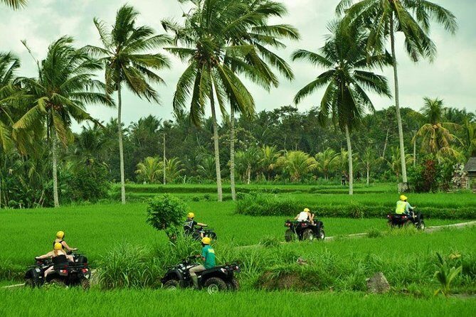 Best Bali ATV Ubud Tour Include Private Transport - Final Thoughts: Is it Worth It?