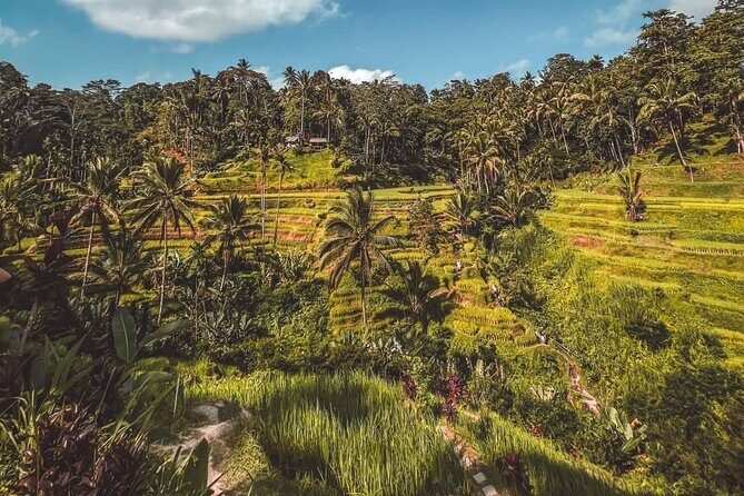 Best Bali Day Tour - Who Is This Tour Best For?