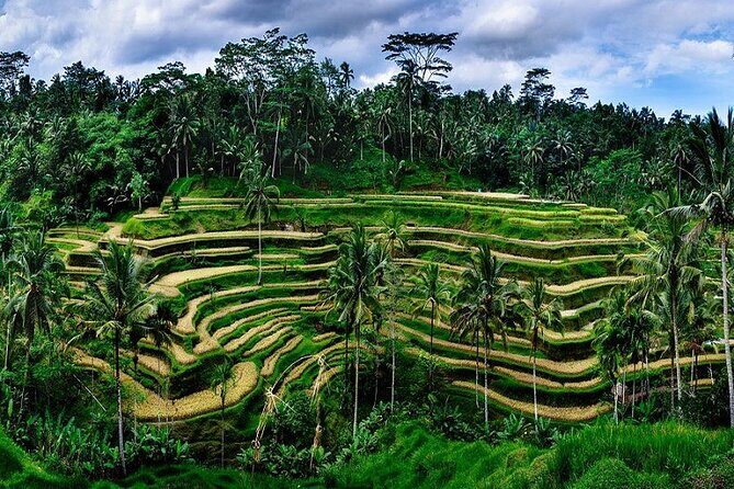 Best Bali Day Tour - FAQ