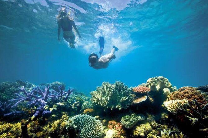 Best Bali Snorkeling At Blue Lagoon And Tanjung Jepun All-Inclusive - Exploring the Itinerary in Detail