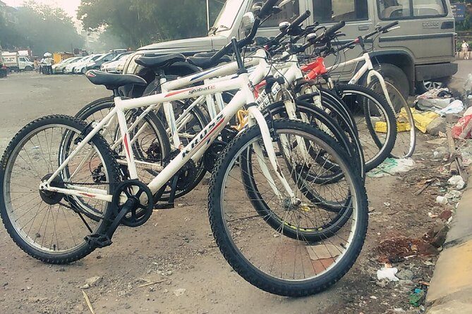 Best Bicycle Tour In Mumbai - Who Is This Tour Best For?