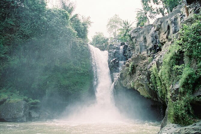 Best Day Tour - #3 World Cleanest Traditional Village - An In-Depth Look at the Bali Day Tour
