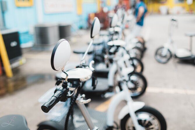 Best Family Activity - Trike Tour Of Naples - All Ages Fun! - Who Should Consider This Tour?
