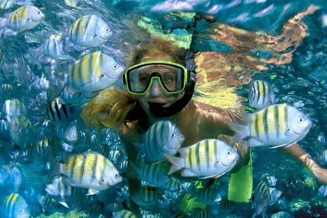 Best half-day snorkel tour: visit Kaan Luum, Yalku & Cenote - An In-Depth Look at the Tour Itinerary