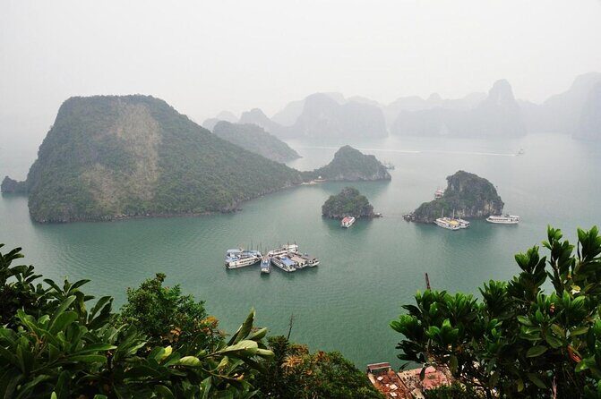 Best Halong Bay Full-Day Trip, All inclusive,cave,kayak,transfer - Key Points