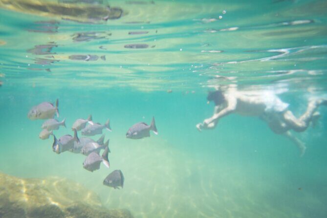 Best in Class: Private Snorkeling Xpedition - Pricing and Value