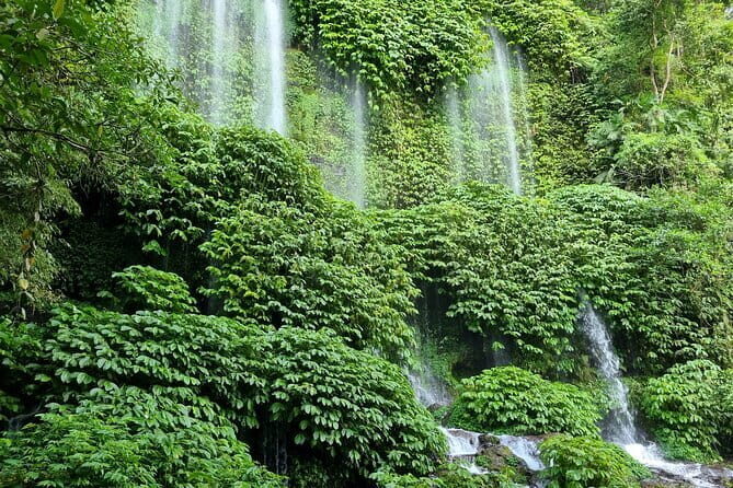 Best Lombok Monkey Forest with Benang Kelambu Waterfall - Key Points