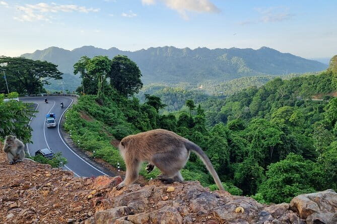 Best Lombok Monkey Forest with Benang Kelambu Waterfall - Exploring the Itinerary in Detail