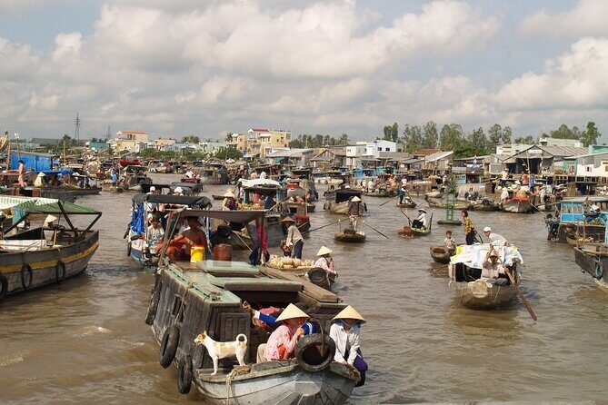 Best mekong delta bike tour - Practical Details