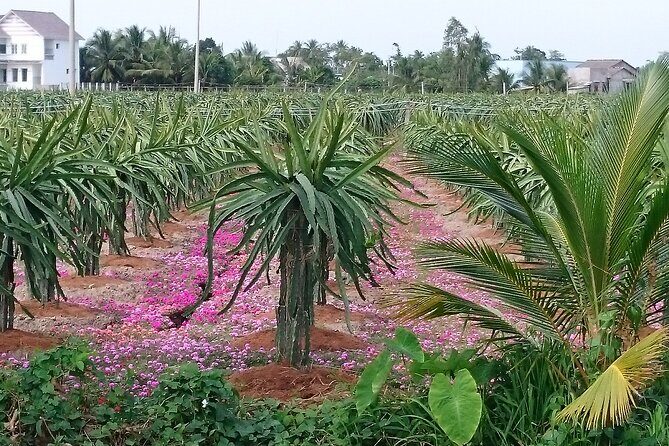 Best mekong delta bike tour - FAQ