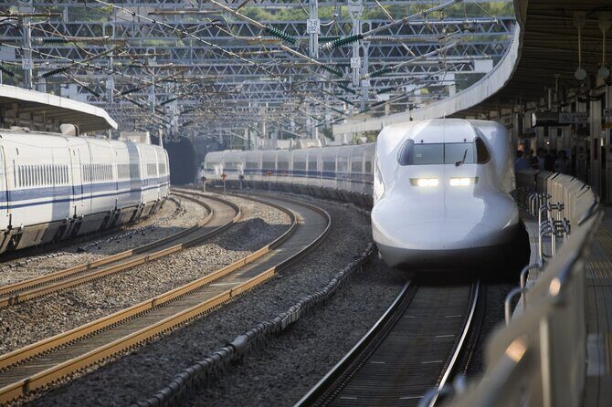 Best Mt Fuji and Hakone Full-Day Bus Tour from Tokyo - FAQ