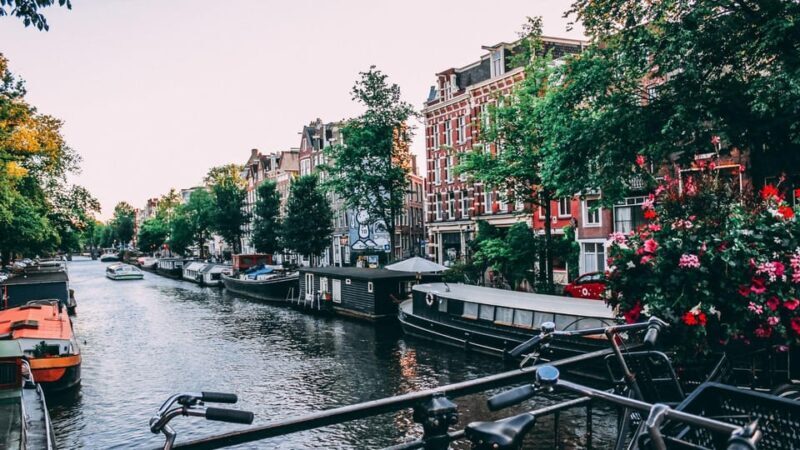 Best of Amsterdam: Private Walking Tour with a Local - What Makes This Tour Stand Out?