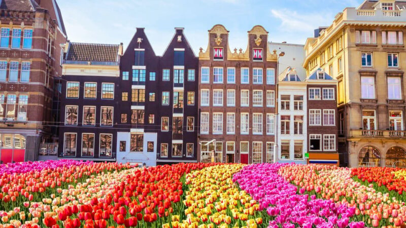 Best of Amsterdam: Private Walking Tour with a Local - Who Is This Tour Best For?