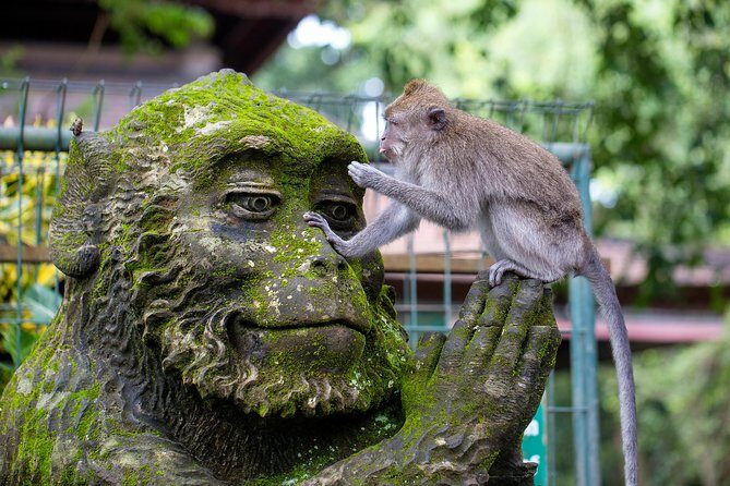 Best of Bali 3-Day Packaged Tour - An Honest Look at the 3-Day Bali Tour