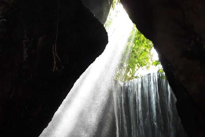 Best of Bali Amazing 4 Day Private Tours Packages - Day 1: Culture, Art, and Nature in Ubud