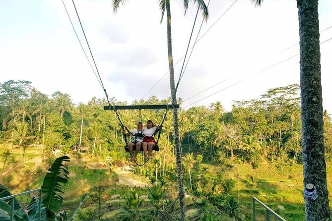 Best of Bali Jungle Swing with Ubud Sightseeing Tour - The Sum Up