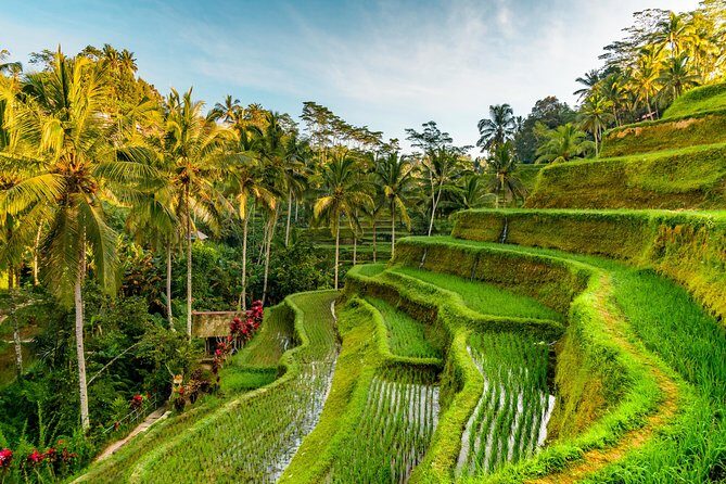 Best of Bali Tour - All Inclusive - FAQ