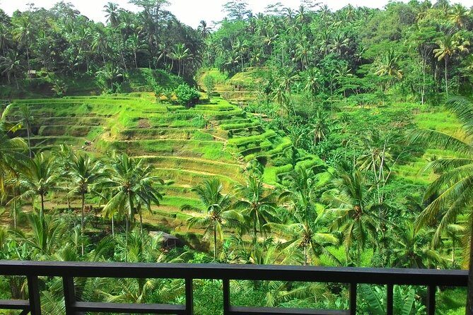 Best of Bali : Ubud, Rice terrace, Tanah lot temple with Lunch - What’s Included and What’s Not