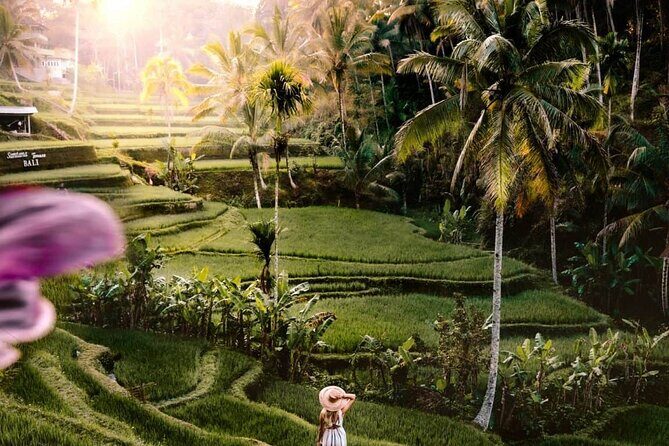 Best of Bali Ubud Sightseeing All Inclusive Private Tour - A Detailed Look at the Ubud Tour Experience