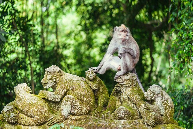 Best of Bali - Ubud Tour All-Inclusive Private Tour - Practical Aspects and Booking