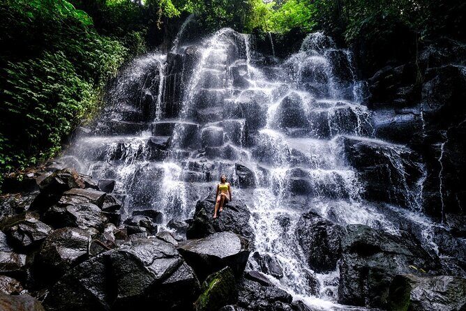 Best of Bali - Ubud Tour All-Inclusive Private Tour - FAQ