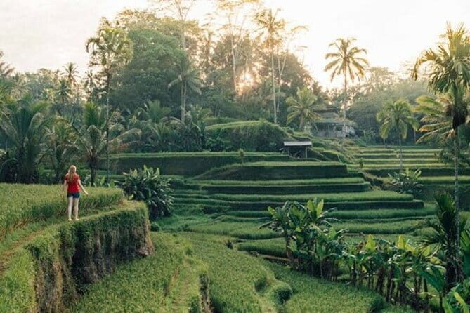 Best of Bali Ubud Tour with All-Inclusive - Best of Bali Ubud Tour with All-Inclusive: A Deep Dive Into Bali’s Heart