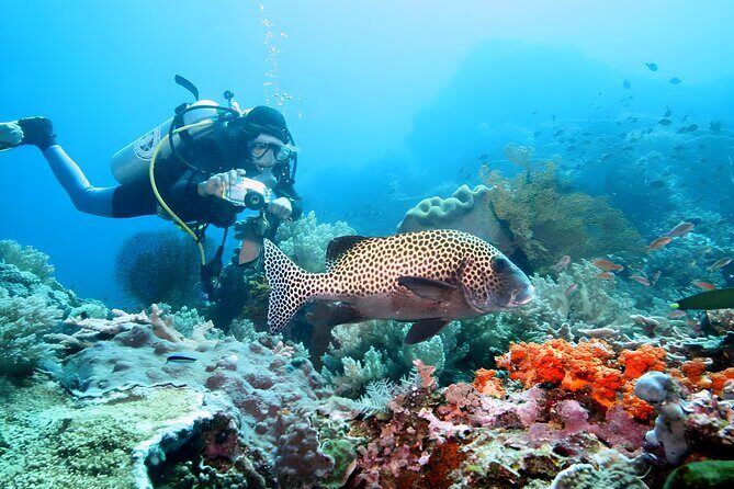 Best of Bali Water Sport Jumbo Packages - Frequently Asked Questions