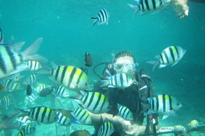 Best of Bali Water Sport Package Include Return Hotel Transport - The Experience in Detail: What to Expect