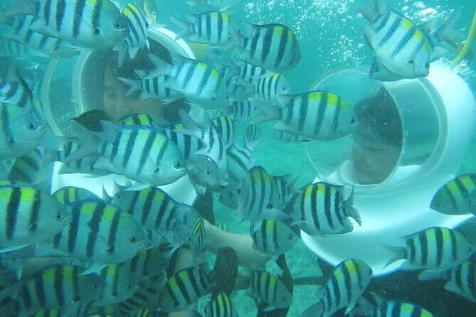 Best of Bali Water Sport Package Include Return Hotel Transport - FAQ