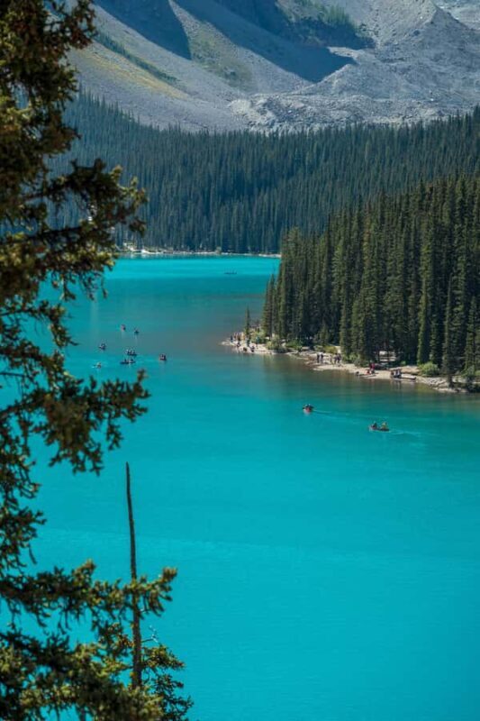 Best of Banff, Lake Louise & Moraine Premium Guided Day Tour - The Sum Up