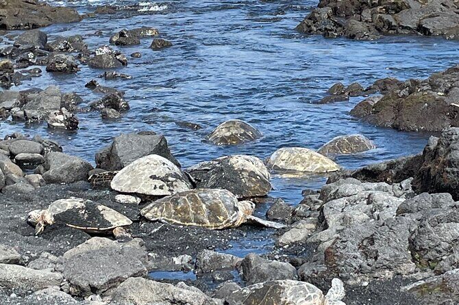 Best of Big Island: Volcanoes, Waterfall, Blacksand Beach & Lunch - Practical Details: What to Expect