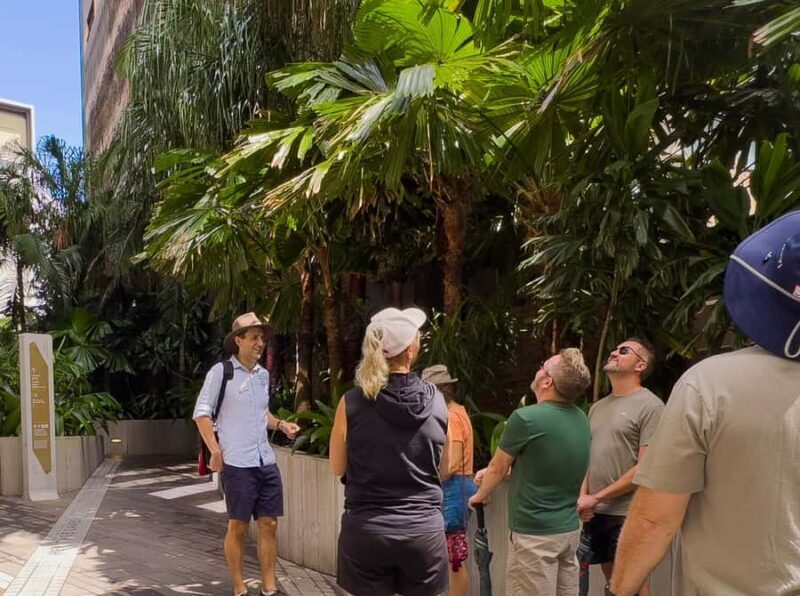 Best of Brisbane Walking Tour | Small Group & snack - What Makes This Tour Stand Out?