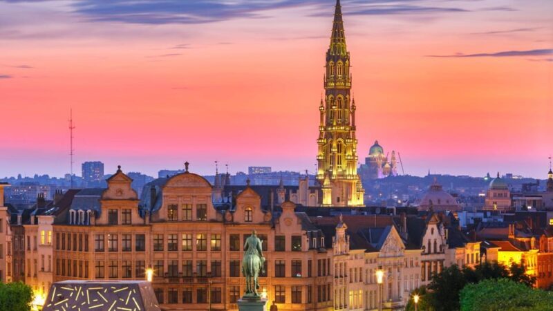 Best of Brussels: Private Walking Tour with a Local - Key Points