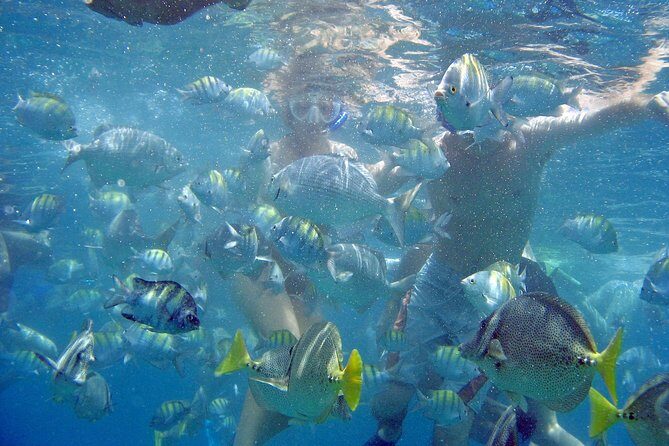 Best of Cabo Highlights 6x1 - An In-Depth Look at the Itinerary