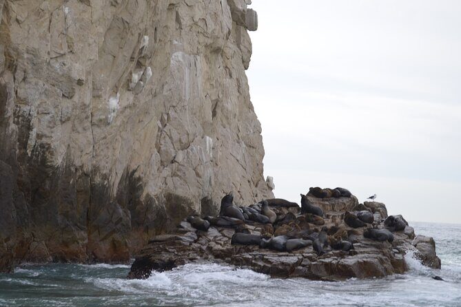 Best of Cabo Highlights 6x1 - FAQ