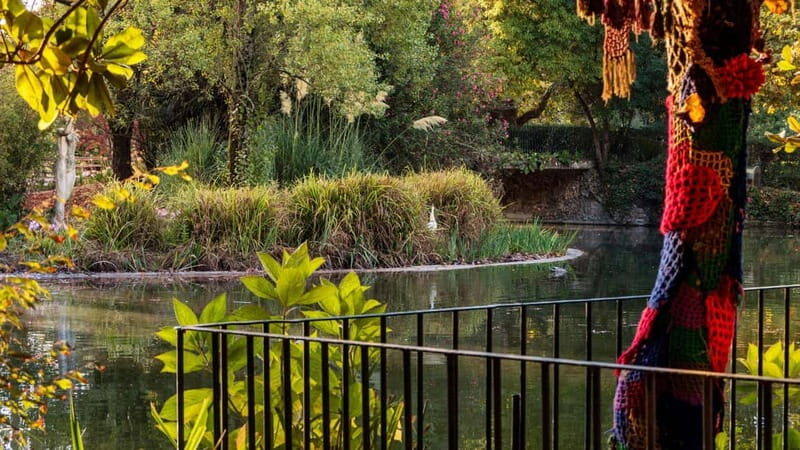 Best of Caldas da Rainha: Private Walking Tour with a Local - What Sets This Tour Apart?