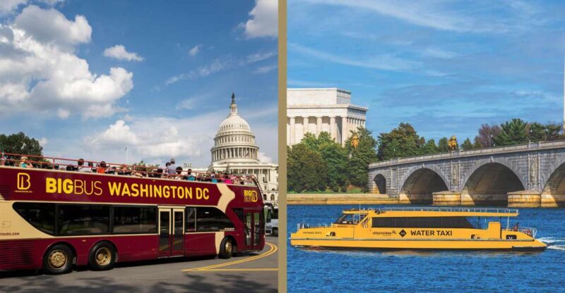 Best of DC: Hop-on Hop-off Bus Tour & Night Tour (Save 40%) - An In-Depth Look at the Experience
