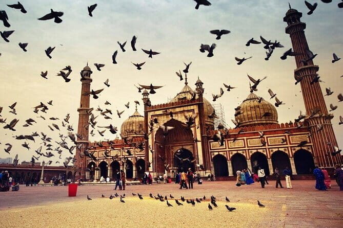Best of Delhi Sightseeing tour - FAQ