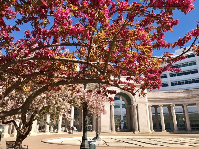 Best of Denver Walking Tour - Who Should Take This Tour?