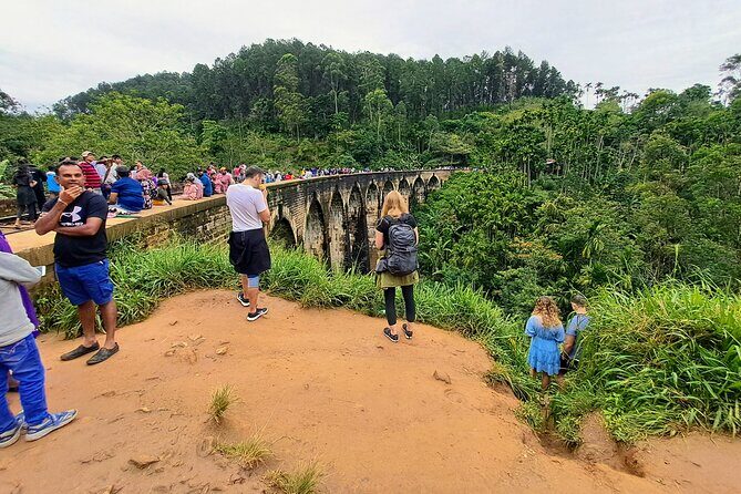 Best of Ella - Full Day, Private & Customize Tour - The Practicalities