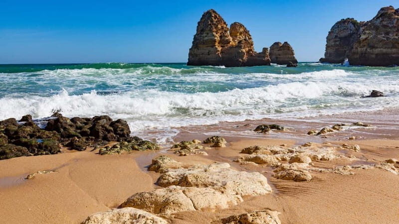 Best of Faro: Private Walking Tour with a Local - Final Thoughts