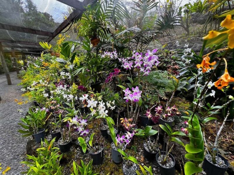 Best of Fiji Tours: 3 Days Package - An Overview of What You’ll Experience in 3 Days