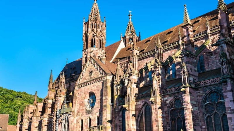 Best of Freiburg: Private Walking Tour with a Local - Key Points