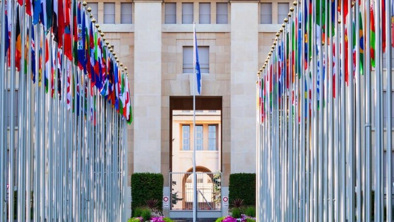 Best of Geneva: Private Walking Tour with a Local - Practical Tips for Your Tour