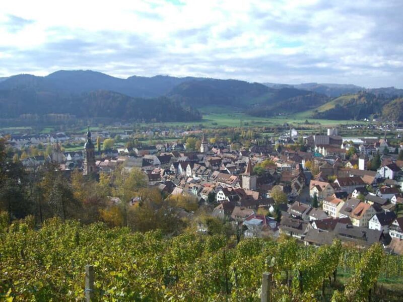 Best of Gengenbach Walk Tour with a Professional Guide - Discovering Gengenbach: A Town Steeped in History and Charm